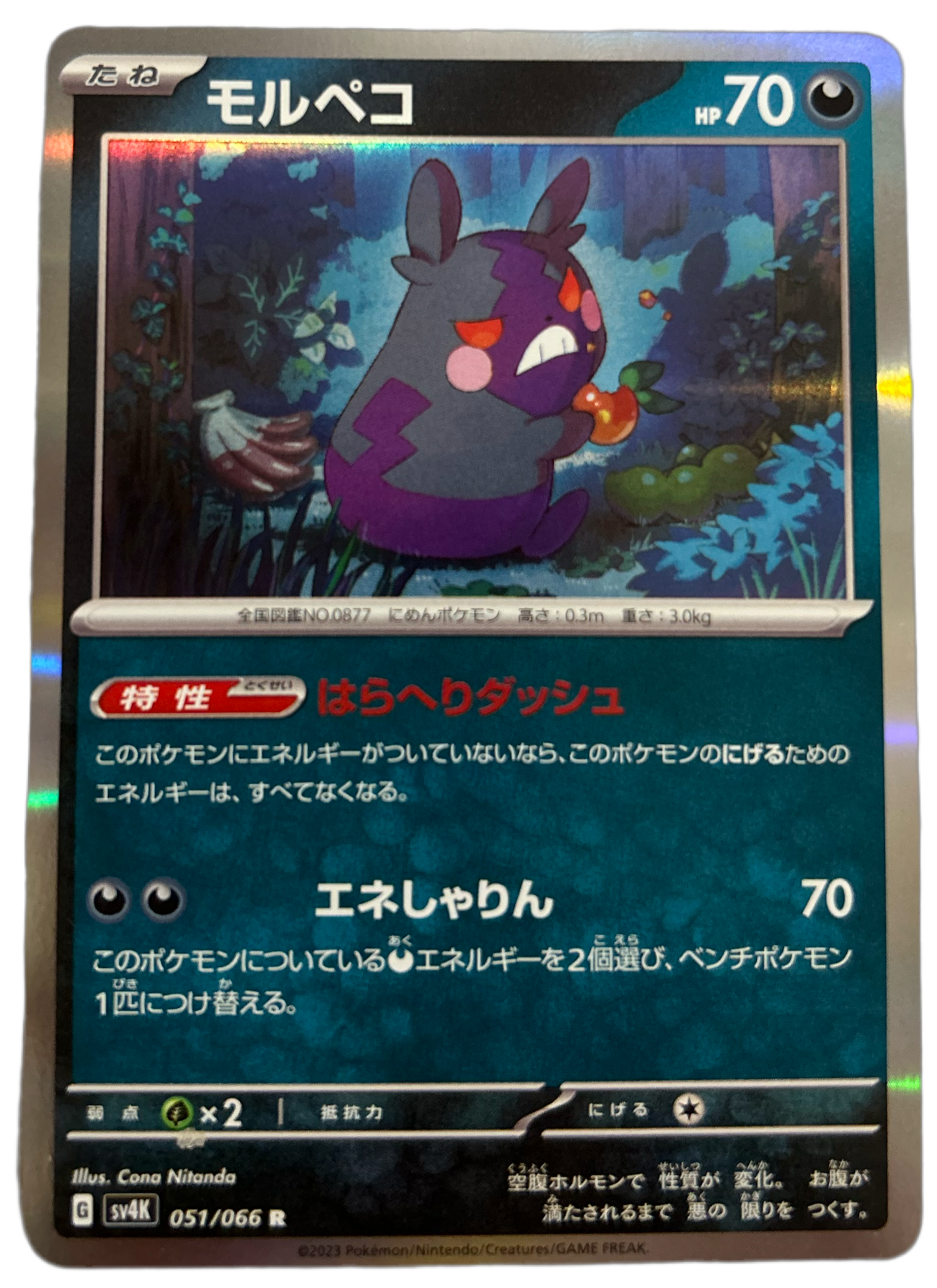 Morpeko #051 Holo Ancient Roar (JP)