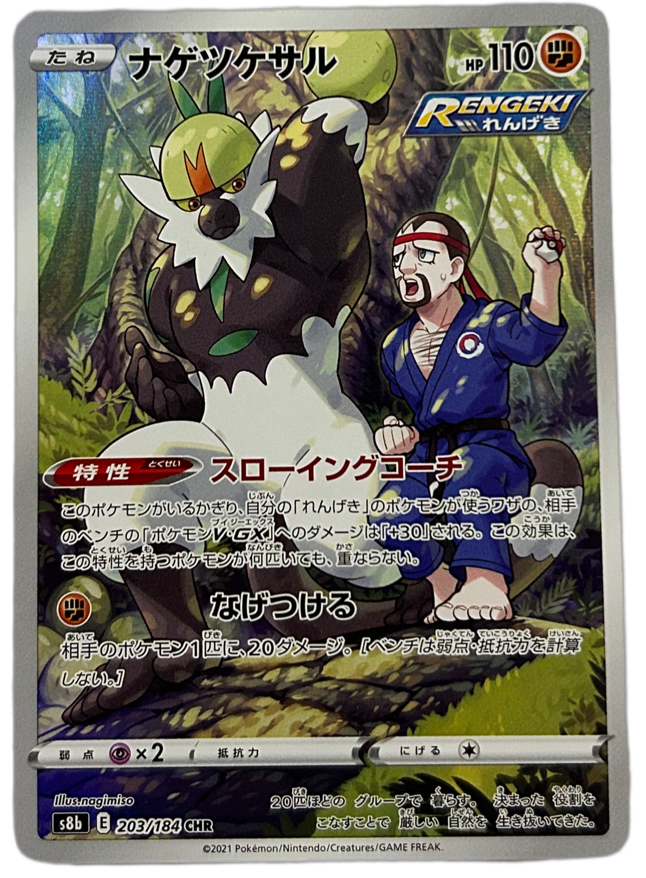 Passimian #203 Japanese VMAX Climax