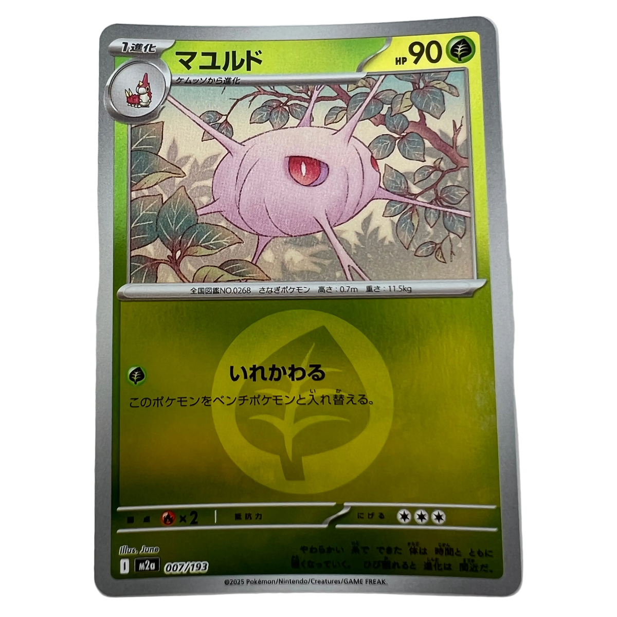 Cascoon [Energy] #7 Japanese Mega Dream Ex