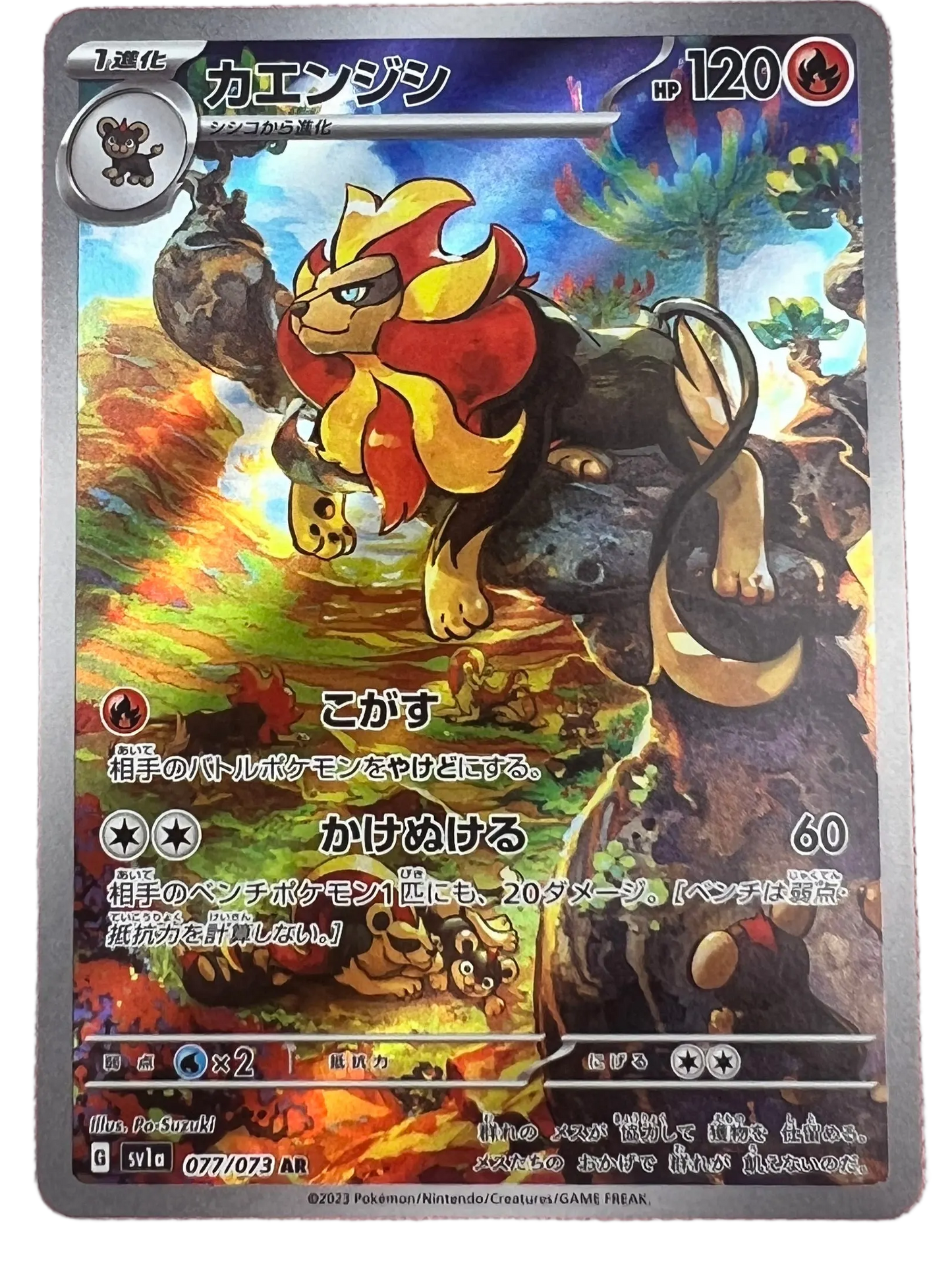 Pyroar #77 Japanese Triplet Beat