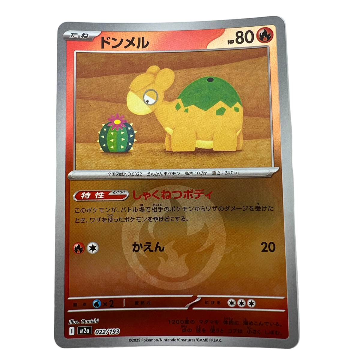 Numel [Ball] #22 Japanese Mega Dream Ex