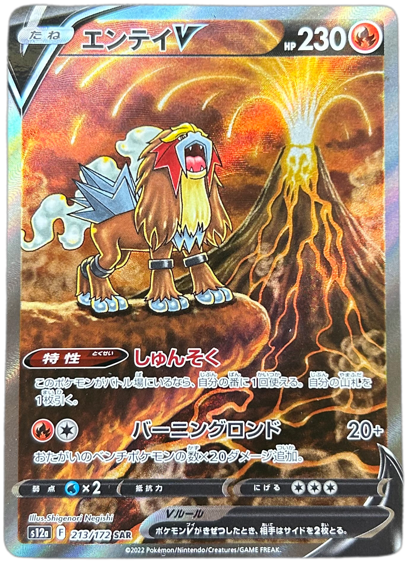 Entei V #213 Japanese VSTAR Universe