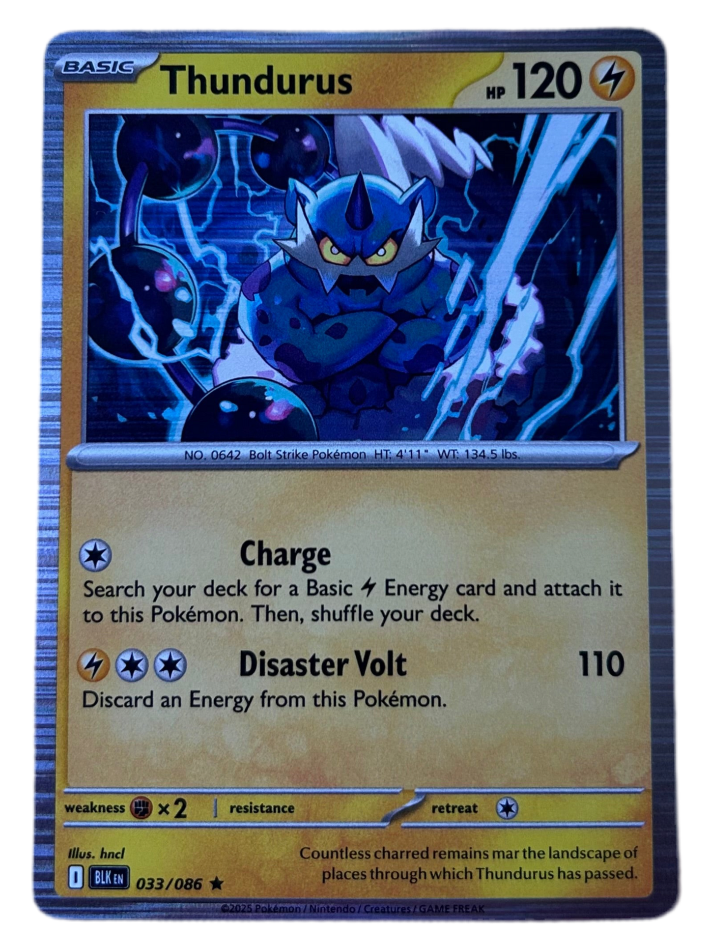 Thundurus #33 Holo Black Bolt
