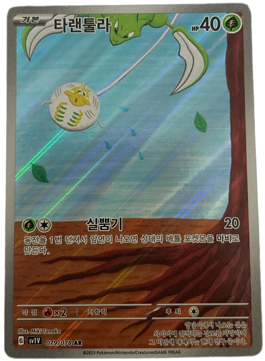 Tarountula #79 Korean Violet Ex