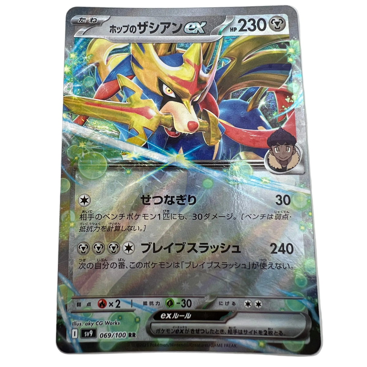 Hop's Zacian Ex #69 Japanese Battle Partners