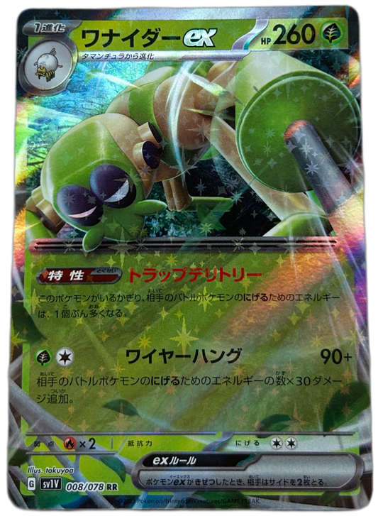 Spidops EX #8 Japanese Violet Ex