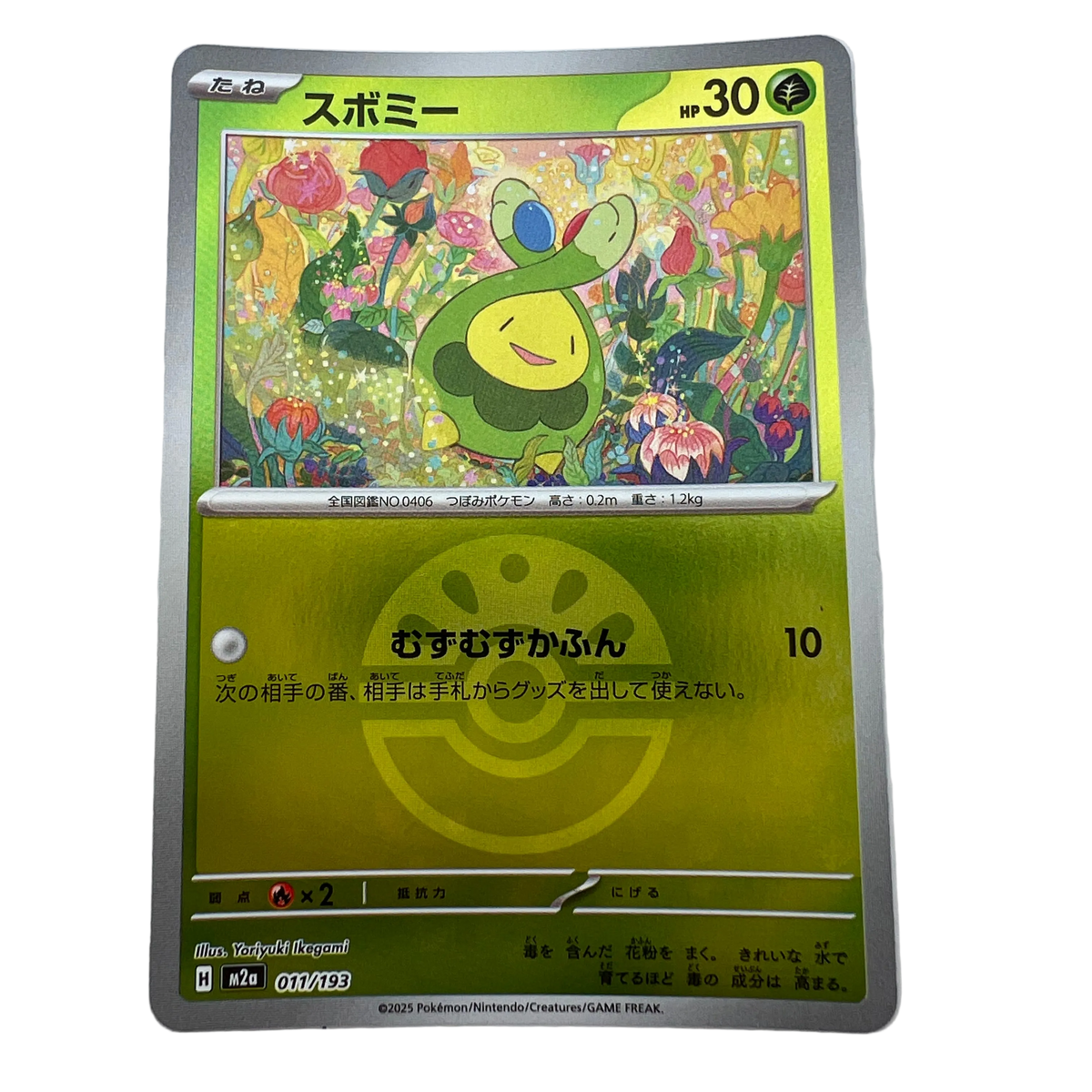 Budew [Ball] #11 Japanese Mega Dream Ex