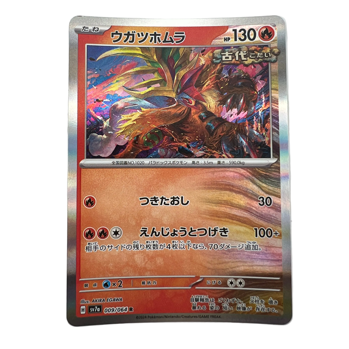 Gouging Fire #9 Japanese Paradise Dragona