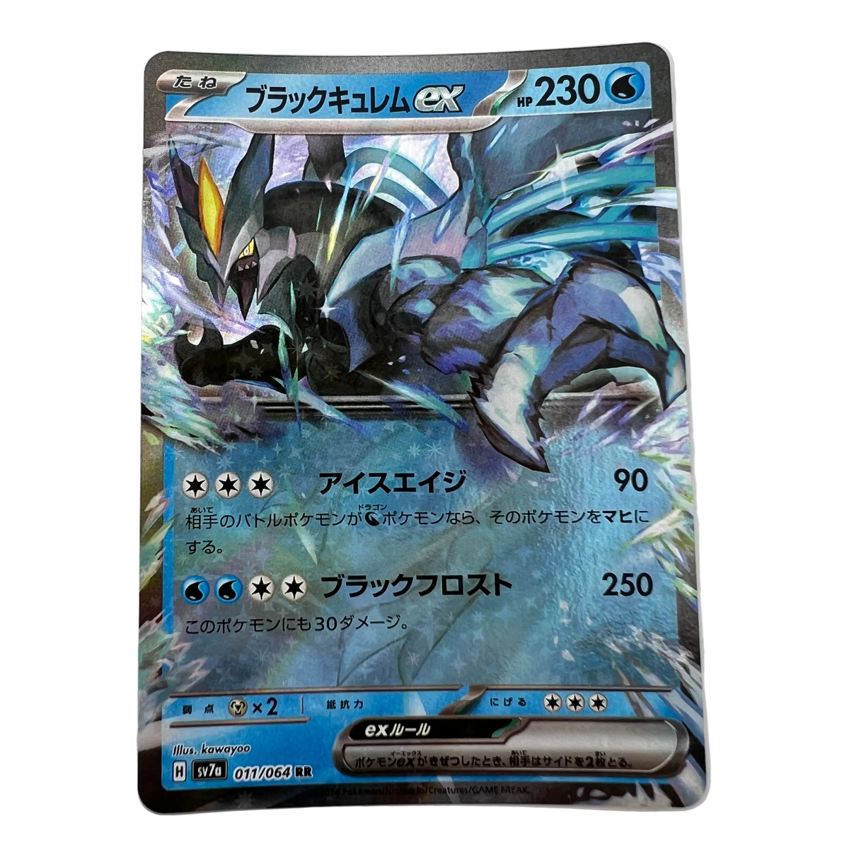 Black Kyurem Ex #11 Japanese Paradise Dragona