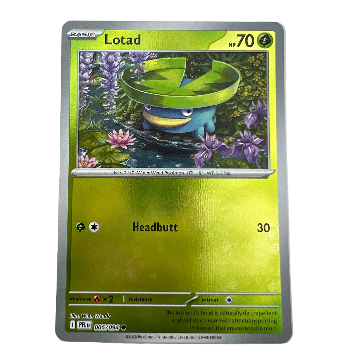 Lotad [Reverse Holo] #5 Phantasmal Flames